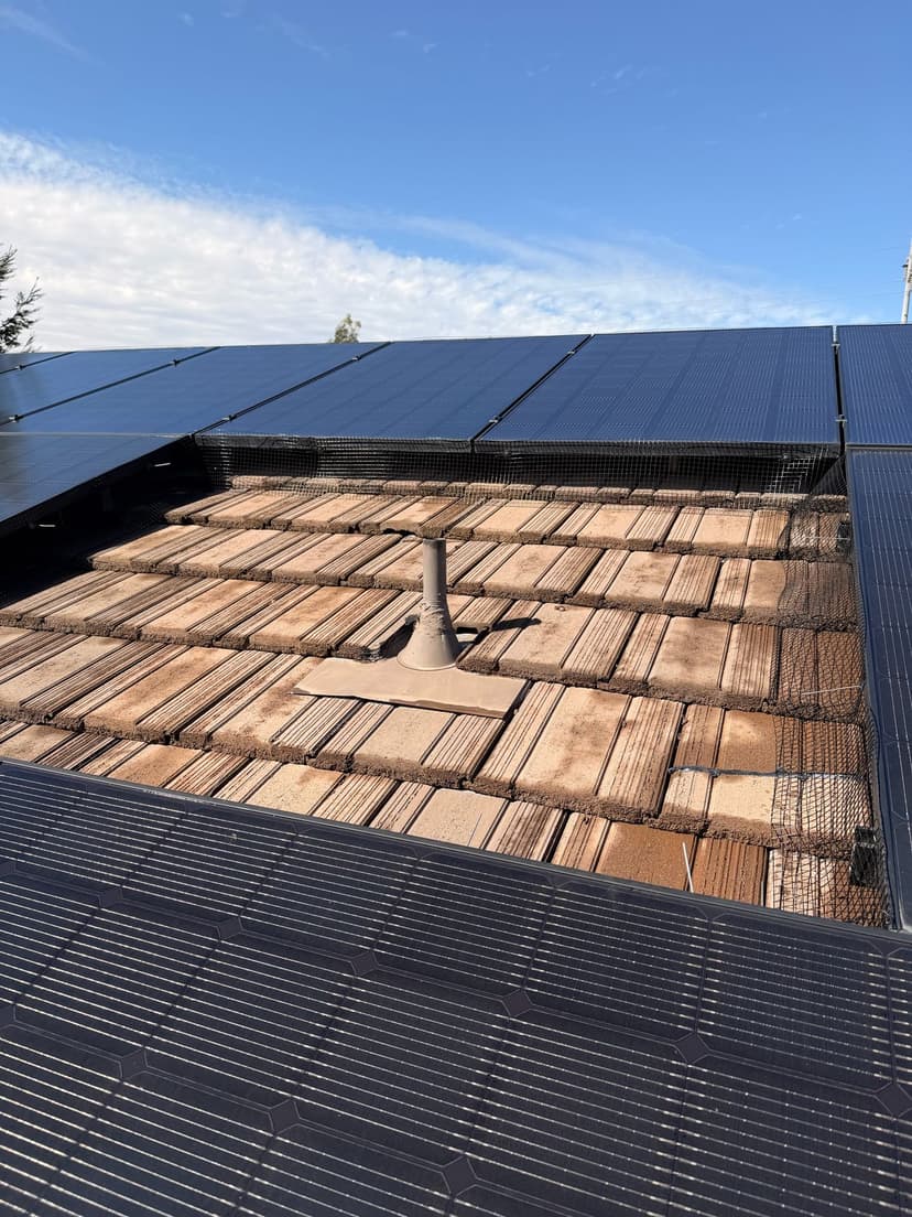 Clean solar panel array after bird proofing service