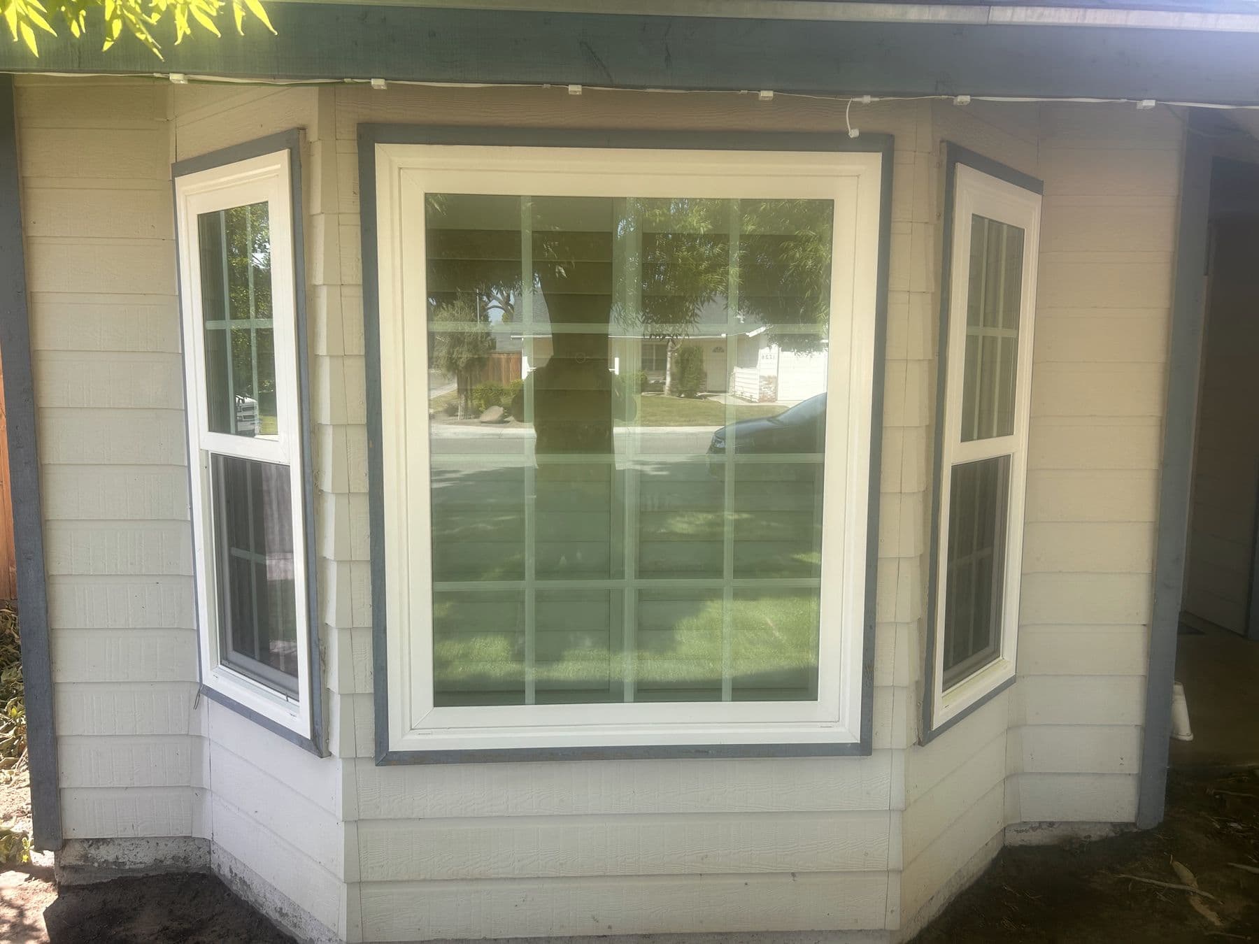 Bay window and siding after a house wash